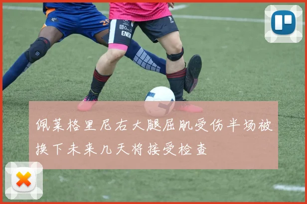 佩莱格里尼右大腿屈肌受伤半场被换下未来几天将接受检查